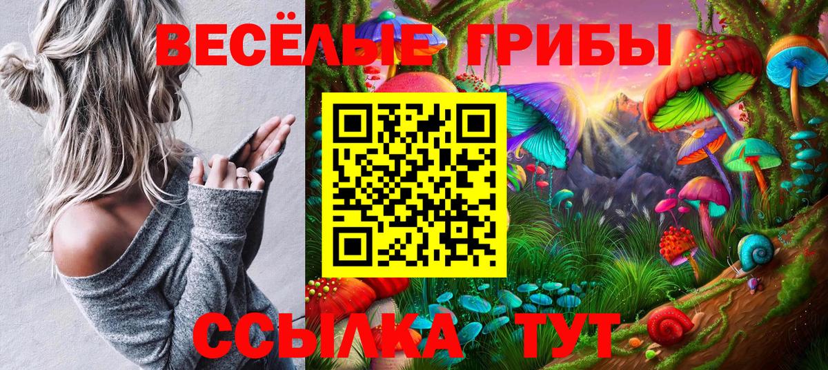 Псилоцибиновые грибы Psilocybine cubensis Краснознаменск