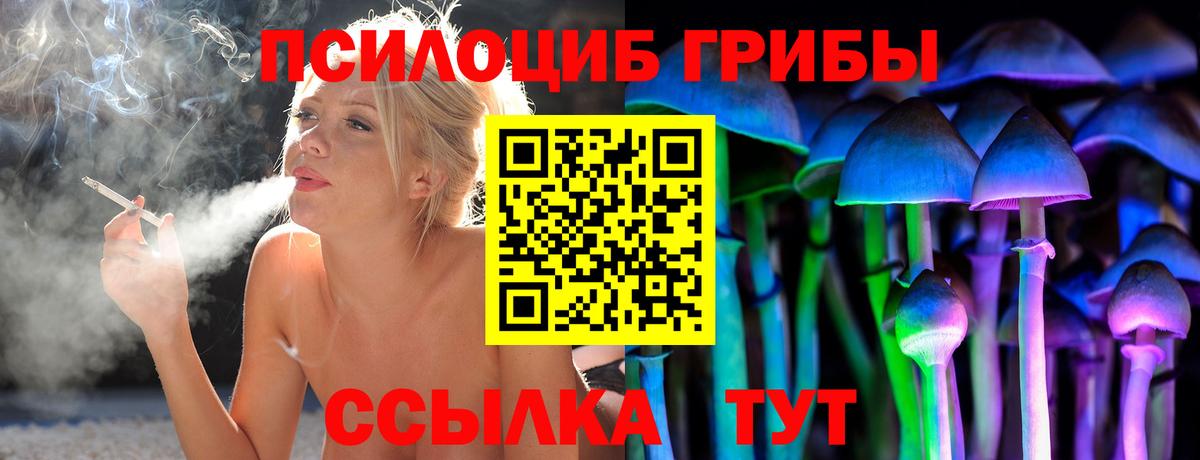 Псилоцибиновые грибы GOLDEN TEACHER  Вход с VPN  Краснознаменск 